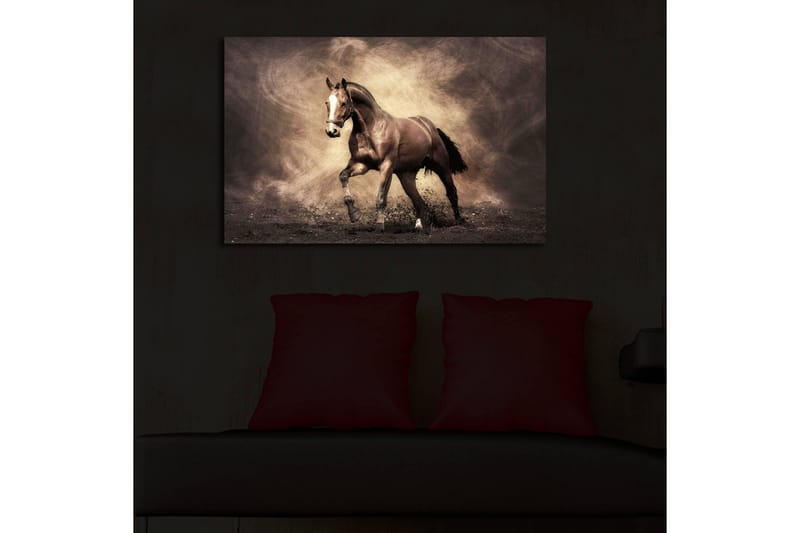 Canvastavla med LED-belysning 45x70 cm - Stolt häst i rörelse - Mörkbrun / Beige / Svart - Inredning & dekor - Tavlor & konst - Canvastavla