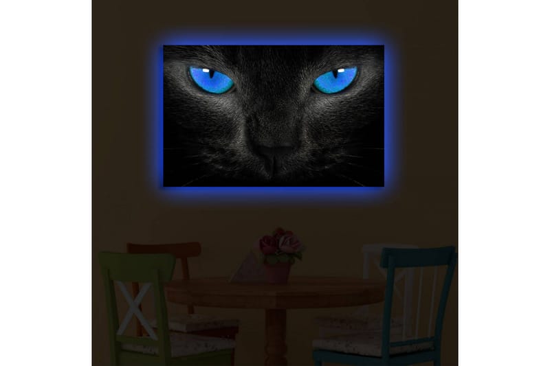Canvastavla med LED-belysning 45x70 cm - Svart katt med intensiva blå ögon - Svart / Blå - Inredning & dekor - Tavlor & konst - Canvastavla