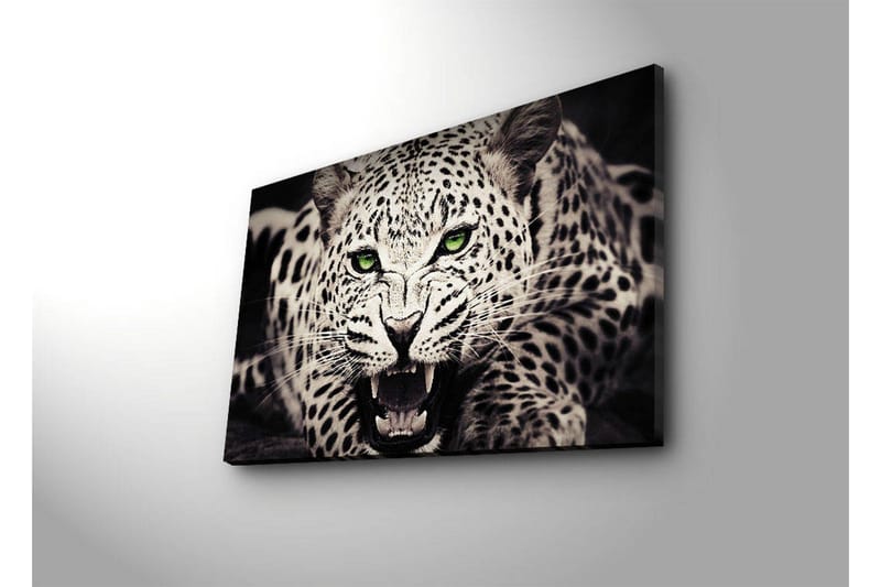 Canvastavla med LED-belysning 45x70 cm - Vild leopard med intensiv blick och öppet gap - Vit / Svart / Grön - Inredning & dekor - Tavlor & konst - Canvastavla