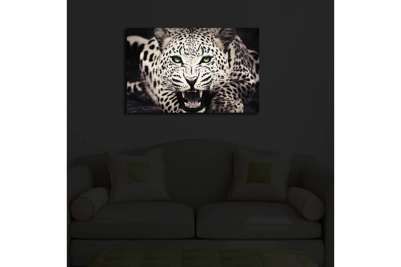 Canvastavla med LED-belysning 45x70 cm - Vild leopard med intensiv blick och öppet gap - Vit / Svart / Grön - Inredning & dekor - Tavlor & konst - Canvastavla