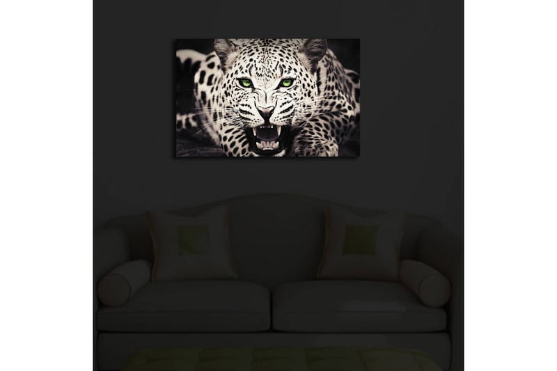 Canvastavla med LED-belysning 45x70 cm - Vild leopard med intensiv blick och öppet gap - Vit / Svart / Grön - Inredning & dekor - Tavlor & konst - Canvastavla