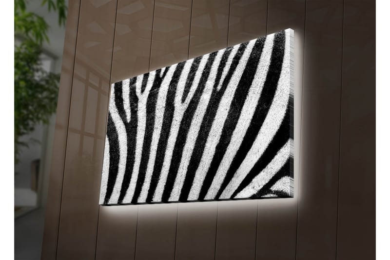 Canvastavla med LED-belysning 45x70 cm - Zebra med kontrasterande svarta och vita ränder - Svart / Vit - Inredning & dekor - Tavlor & konst - Canvastavla