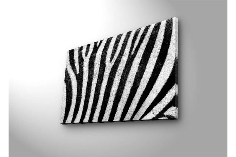 Canvastavla med LED-belysning 45x70 cm - Zebra med kontrasterande svarta och vita ränder - Svart / Vit - Inredning & dekor - Tavlor & konst - Canvastavla