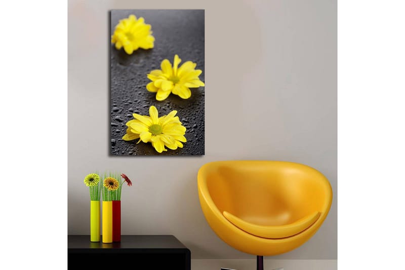 Canvastavla med LED-belysning 70x45 cm - Gula blommor med droppar av vatten på en mörk yta - Gul / Svart - Inredning & dekor - Tavlor & konst - Canvastavla