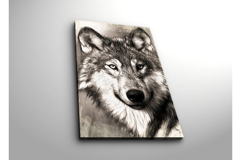Canvastavla med LED-belysning 70x45 cm - Porträtt av en varg med uttrycksfulla detaljer - Svart / Grå / Vit - Inredning & dekor - Tavlor & konst - Canvastavla