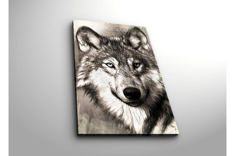 Canvastavla med LED-belysning 70x45 cm - Porträtt av en varg med uttrycksfulla detaljer - Svart / Grå / Vit - Inredning & dekor - Tavlor & konst - Canvastavla