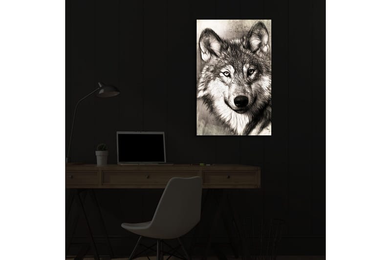 Canvastavla med LED-belysning 70x45 cm - Porträtt av en varg med uttrycksfulla detaljer - Svart / Grå / Vit - Inredning & dekor - Tavlor & konst - Canvastavla