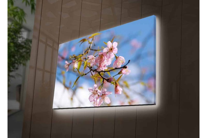 Canvastavla med LED-belysning - Blommande körsbärsträd i vårens ljus - Rosa / Grön / Blå - Inredning & dekor - Tavlor & konst - Canvastavla
