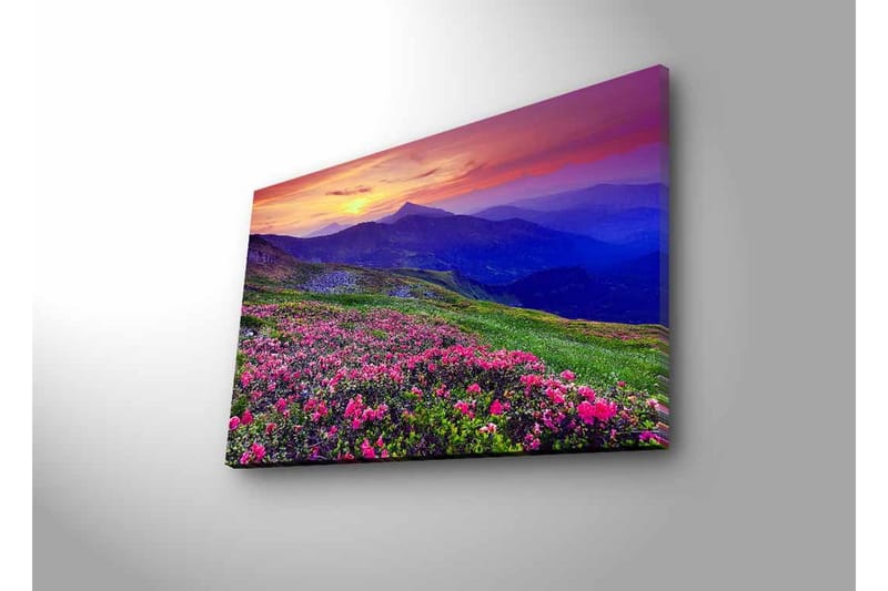 Canvastavla med LED-belysning - Blomstrande äng med färgglada blommor och fjäll i bakgrunden - Lila / Rosa / Grön - Inredning & dekor - Tavlor & konst - Canvastavla