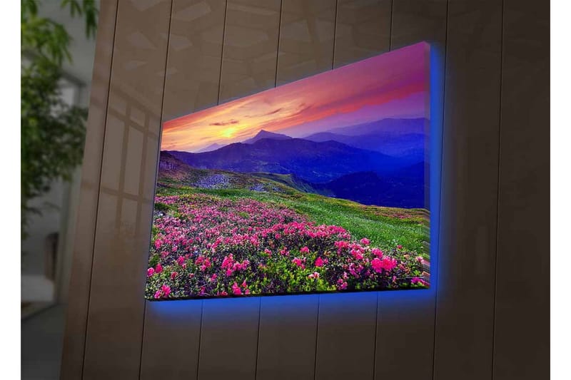 Canvastavla med LED-belysning - Blomstrande äng med färgglada blommor och fjäll i bakgrunden - Lila / Rosa / Grön - Inredning & dekor - Tavlor & konst - Canvastavla