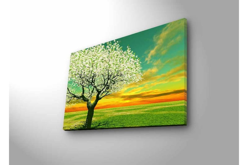 Canvastavla med LED-belysning - Blomstrande träd vid solnedgången - Grön / Vit / Orange - Inredning & dekor - Tavlor & konst - Canvastavla
