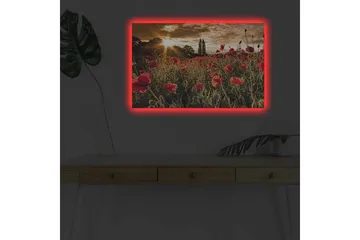 Canvastavla med LED-belysning - Blomstrande vallmofält i solnedgångens ljus - Röd / Grön / Gul - Inredning & dekor - Tavlor & konst - Canvastavla