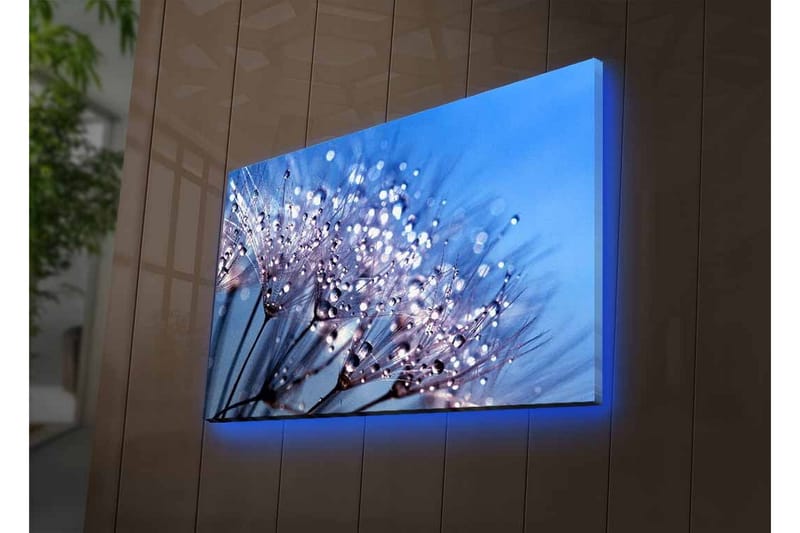 Canvastavla med LED-belysning - Delikat blomsterkomposition med vattendroppar - Blå / Vit / Lila - Inredning & dekor - Tavlor & konst - Canvastavla