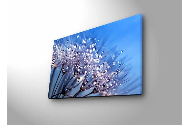 Canvastavla med LED-belysning - Delikat blomsterkomposition med vattendroppar - Blå / Vit / Lila - Inredning & dekor - Tavlor & konst - Canvastavla