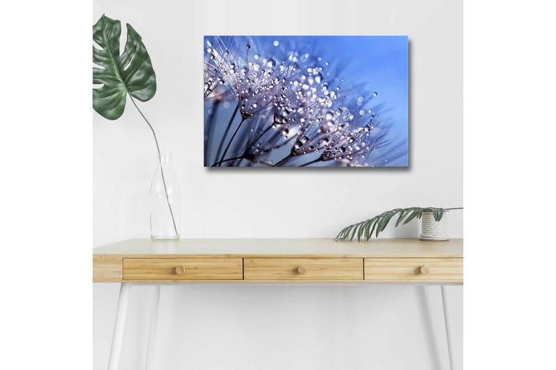 Canvastavla med LED-belysning - Delikat blomsterkomposition med vattendroppar, Blå / Vit / Lila