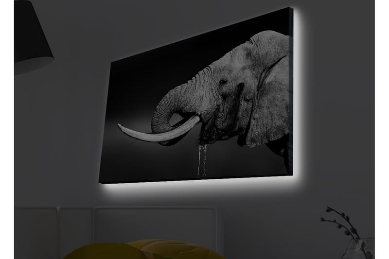 Canvastavla med LED-belysning - Elefant i svartvitt med detaljerad textur - Svart / Vit / Grå - Inredning & dekor - Tavlor & konst - Canvastavla