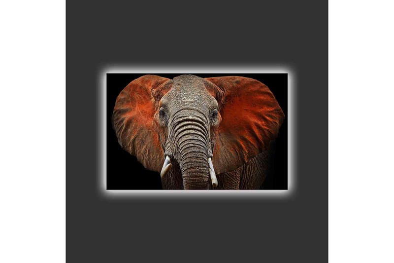 Canvastavla med LED-belysning - Elefant med majestätiska öron i dämpade färger - Grå / Röd / Svart - Inredning & dekor - Tavlor & konst - Canvastavla