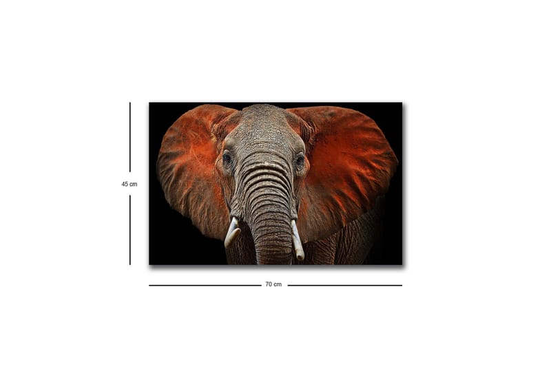 Canvastavla med LED-belysning - Elefant med majestätiska öron i dämpade färger - Grå / Röd / Svart - Inredning & dekor - Tavlor & konst - Canvastavla