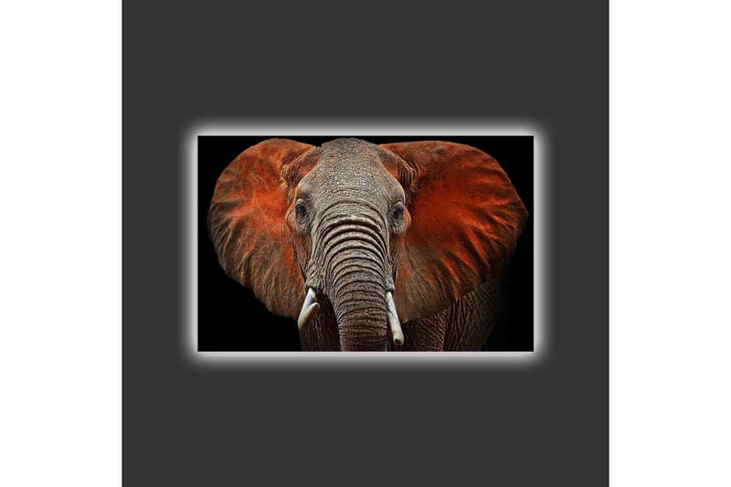 Canvastavla med LED-belysning - Elefant med majestätiska öron i dämpade färger - Grå / Röd / Svart - Inredning & dekor - Tavlor & konst - Canvastavla