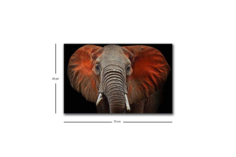 Canvastavla med LED-belysning - Elefant med majestätiska öron i dämpade färger - Grå / Röd / Svart - Inredning & dekor - Tavlor & konst - Canvastavla