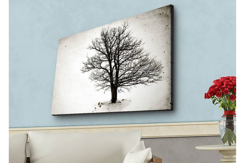 Canvastavla med LED-belysning - Ensam, bar trädkrona mot en vit bakgrund - Svart / Vit - Inredning & dekor - Tavlor & konst - Canvastavla