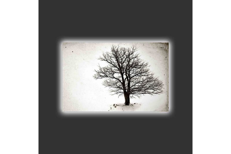 Canvastavla med LED-belysning - Ensam, bar trädkrona mot en vit bakgrund - Svart / Vit - Inredning & dekor - Tavlor & konst - Canvastavla