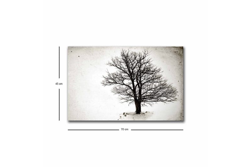 Canvastavla med LED-belysning - Ensam, bar trädkrona mot en vit bakgrund - Svart / Vit - Inredning & dekor - Tavlor & konst - Canvastavla