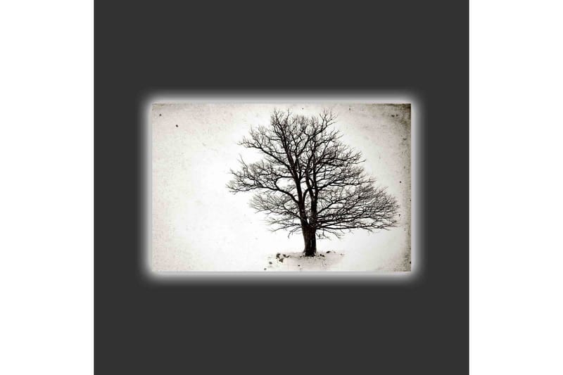 Canvastavla med LED-belysning - Ensam, bar trädkrona mot en vit bakgrund - Svart / Vit - Inredning & dekor - Tavlor & konst - Canvastavla