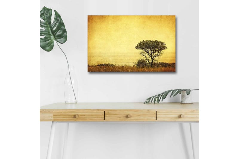 Canvastavla med LED-belysning - Ensam trädkontur mot en gyllene himmel - Guld / Brunt / Svart - Inredning & dekor - Tavlor & konst - Canvastavla