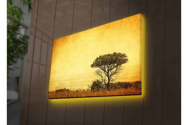 Canvastavla med LED-belysning - Ensam trädkontur mot en gyllene himmel - Guld / Brunt / Svart - Inredning & dekor - Tavlor & konst - Canvastavla