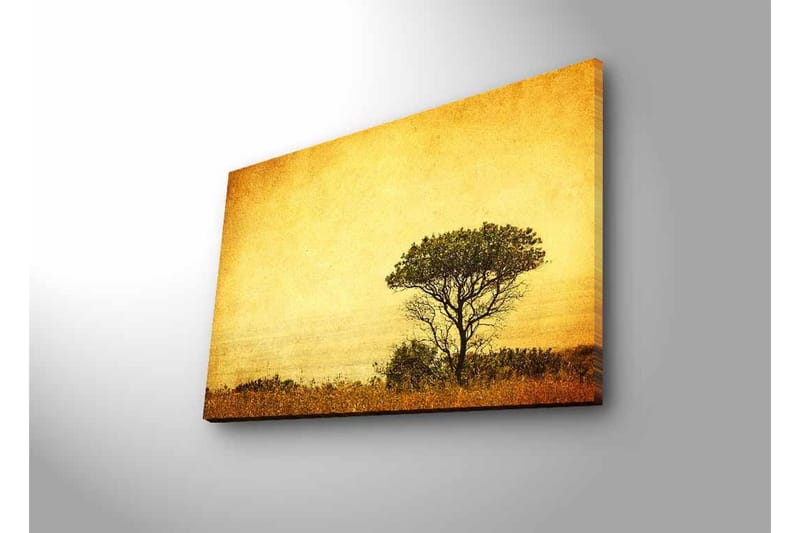 Canvastavla med LED-belysning - Ensam trädkontur mot en gyllene himmel - Guld / Brunt / Svart - Inredning & dekor - Tavlor & konst - Canvastavla