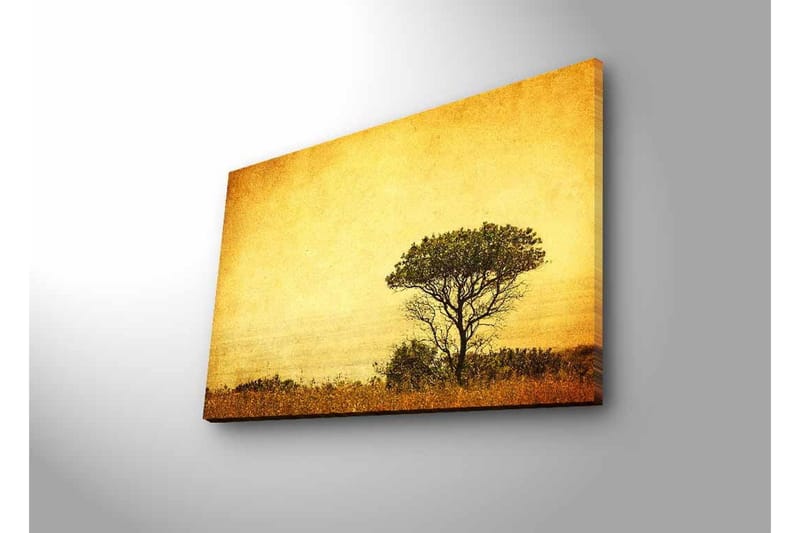 Canvastavla med LED-belysning - Ensam trädkontur mot en gyllene himmel - Guld / Brunt / Svart - Inredning & dekor - Tavlor & konst - Canvastavla