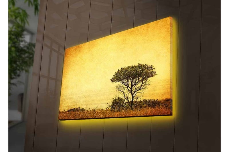 Canvastavla med LED-belysning - Ensam trädkontur mot en gyllene himmel - Guld / Brunt / Svart - Inredning & dekor - Tavlor & konst - Canvastavla