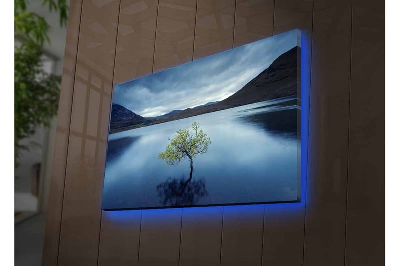 Canvastavla med LED-belysning - Ensam trädkrona som speglas i stilla vatten - Mörkblå / Grön / Grå - Inredning & dekor - Tavlor & konst - Canvastavla