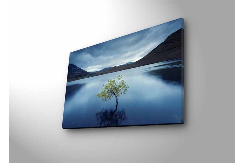 Canvastavla med LED-belysning - Ensam trädkrona som speglas i stilla vatten - Mörkblå / Grön / Grå - Inredning & dekor - Tavlor & konst - Canvastavla