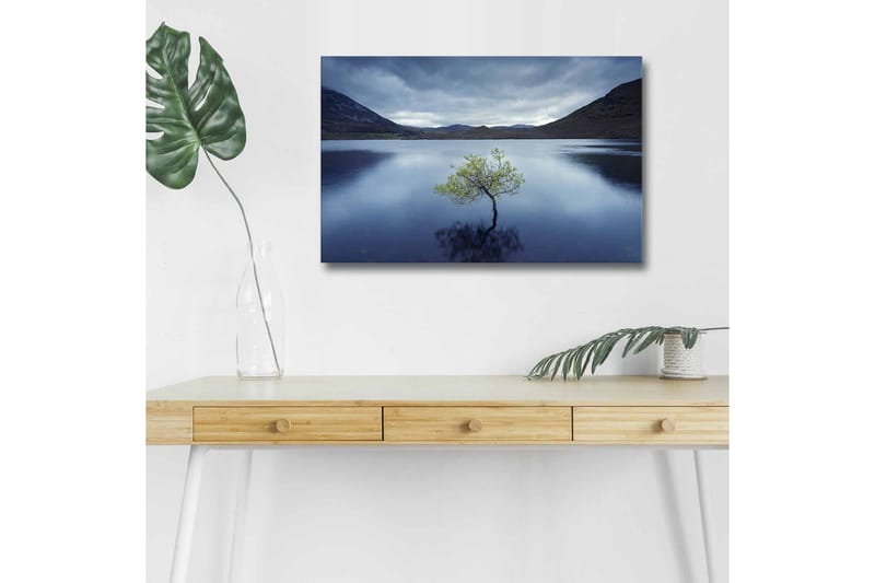 Canvastavla med LED-belysning - Ensam trädkrona som speglas i stilla vatten - Mörkblå / Grön / Grå - Inredning & dekor - Tavlor & konst - Canvastavla
