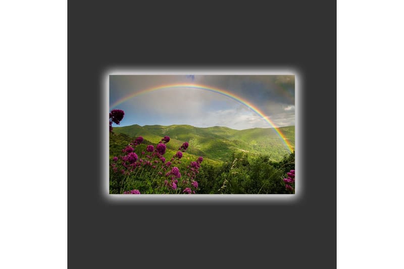 Canvastavla med LED-belysning - Färgglad regnbåge över gröna berg och blommor - Grön / Lila / Blå - Inredning & dekor - Tavlor & konst - Canvastavla