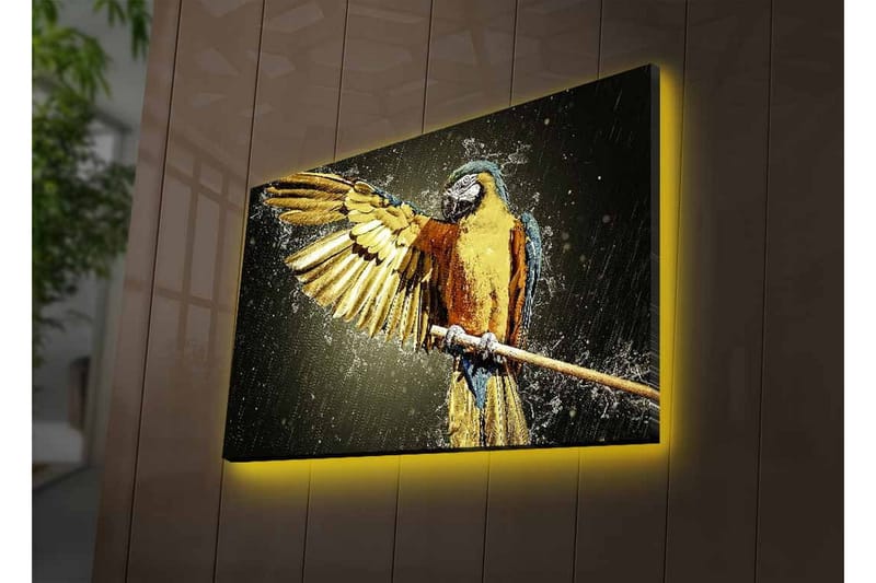 Canvastavla med LED-belysning - Färgglad papegoja med utsträckta vingar - Guld / Blå / Grön - Inredning & dekor - Tavlor & konst - Canvastavla