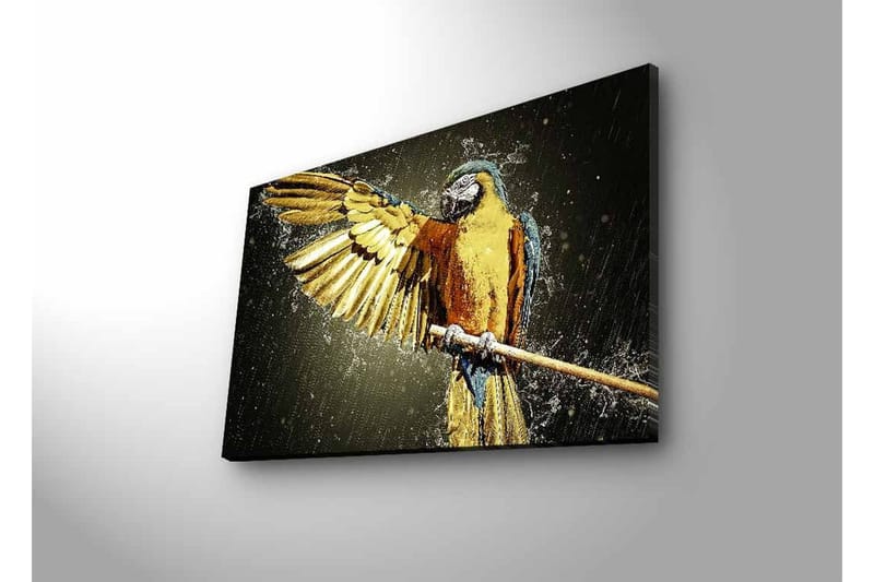 Canvastavla med LED-belysning - Färgglad papegoja med utsträckta vingar - Guld / Blå / Grön - Inredning & dekor - Tavlor & konst - Canvastavla