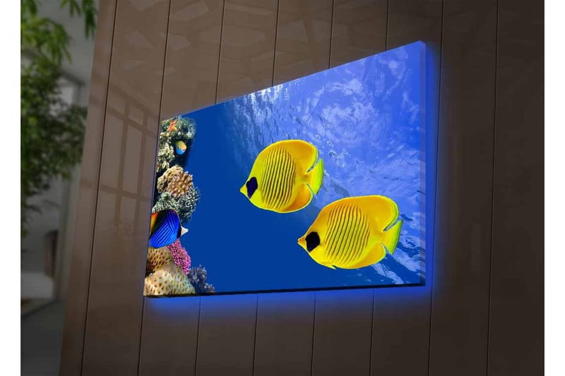 Canvastavla med LED-belysning - Färgglada tropiska fiskar simmande i ett korallrev - Blå / Gul / Lila - Inredning & dekor - Tavlor & konst - Canvastavla