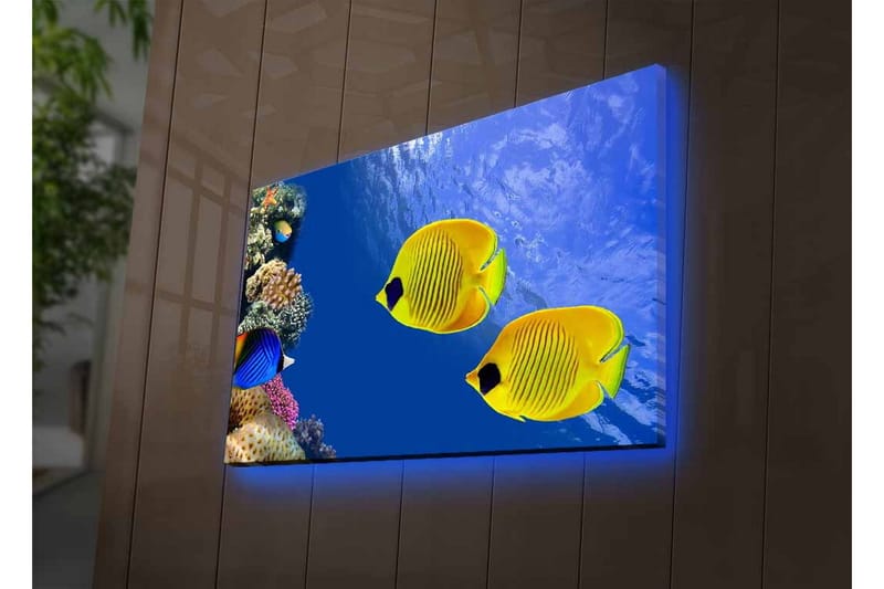 Canvastavla med LED-belysning - Färgglada tropiska fiskar simmande i ett korallrev - Blå / Gul / Lila - Inredning & dekor - Tavlor & konst - Canvastavla