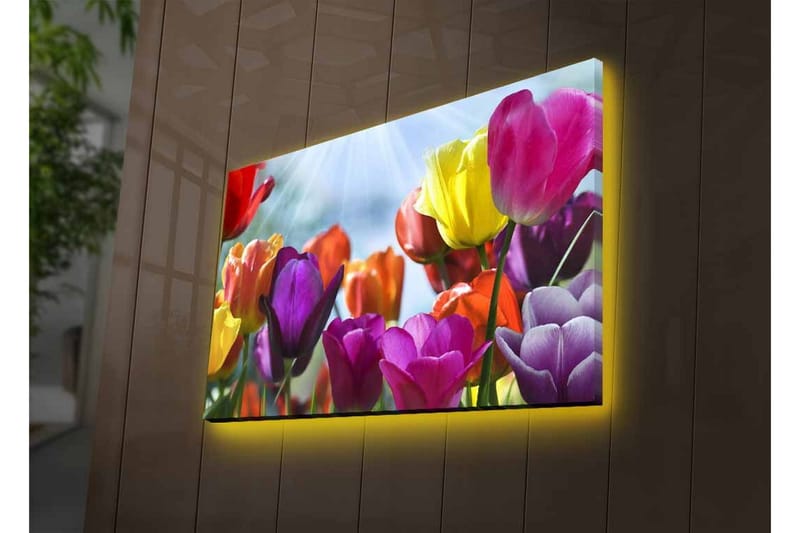 Canvastavla med LED-belysning - Färgrik bukett av tulpaner - Lila / Röd / Gul - Inredning & dekor - Tavlor & konst - Canvastavla