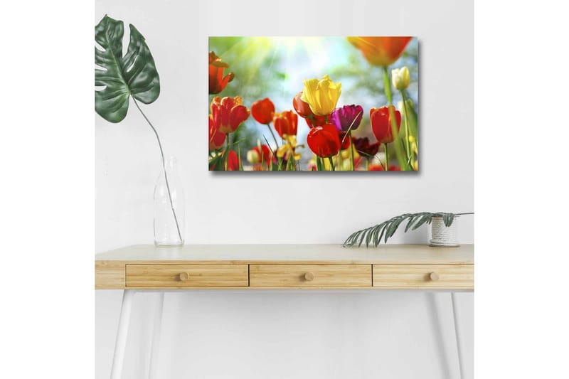 Canvastavla med LED-belysning - Färgrik bukett av tulpaner - Röd / Gul / Lila - Inredning & dekor - Tavlor & konst - Canvastavla
