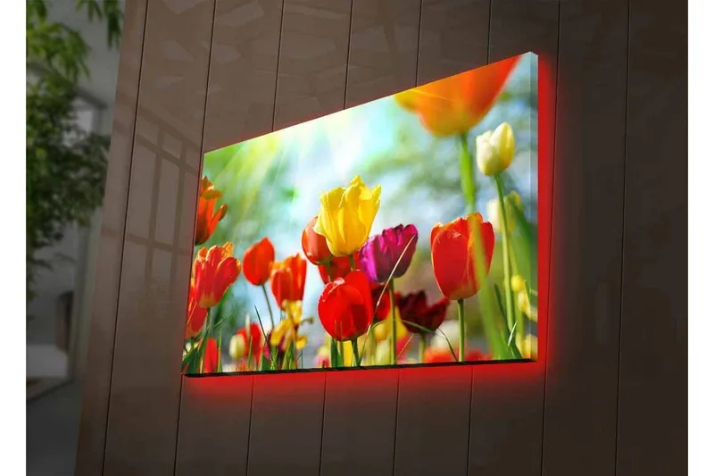 Canvastavla med LED-belysning - Färgrik bukett av tulpaner - Röd / Gul / Lila - Inredning & dekor - Tavlor & konst - Canvastavla