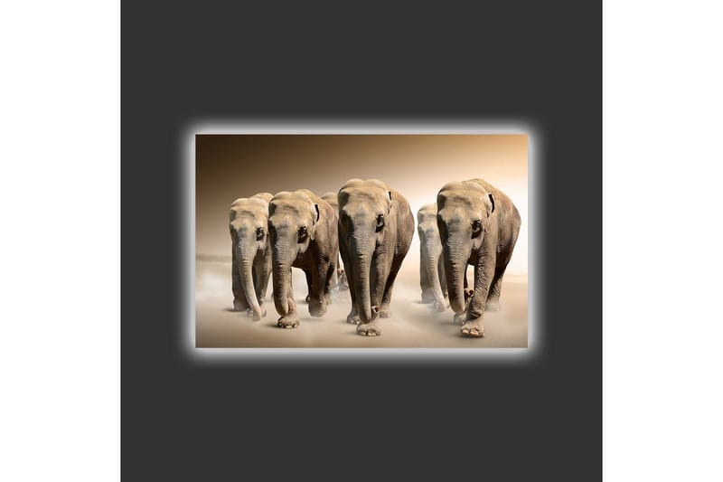 Canvastavla med LED-belysning - Fem elefanter som går i rad genom en sandig miljö - Beige / Brun / Grå - Inredning & dekor - Tavlor & konst - Canvastavla