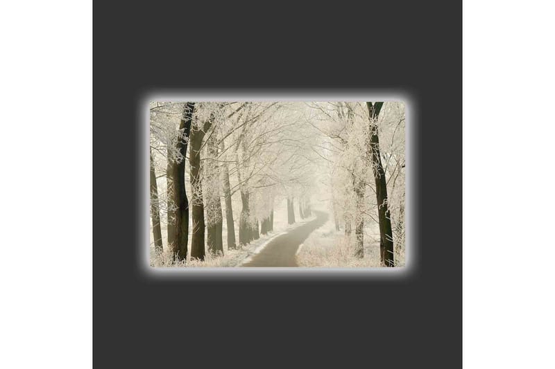 Canvastavla med LED-belysning - Frostig väg omgiven av snöklädda träd - Vit / Grå / Svart - Inredning & dekor - Tavlor & konst - Canvastavla