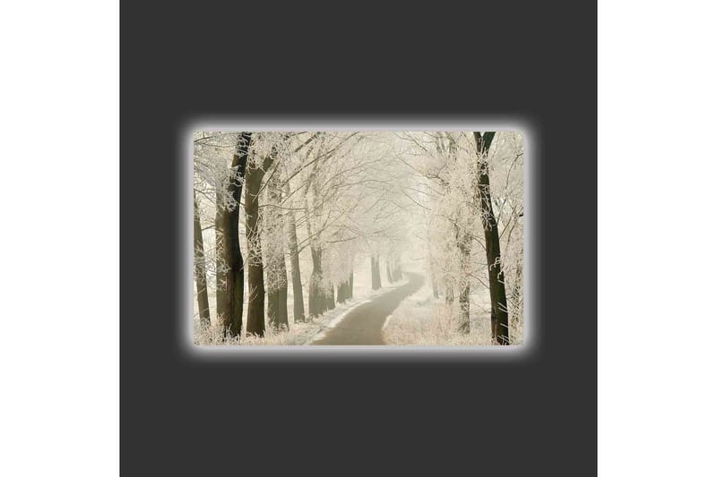 Canvastavla med LED-belysning - Frostig väg omgiven av snöklädda träd - Vit / Grå / Svart - Inredning & dekor - Tavlor & konst - Canvastavla