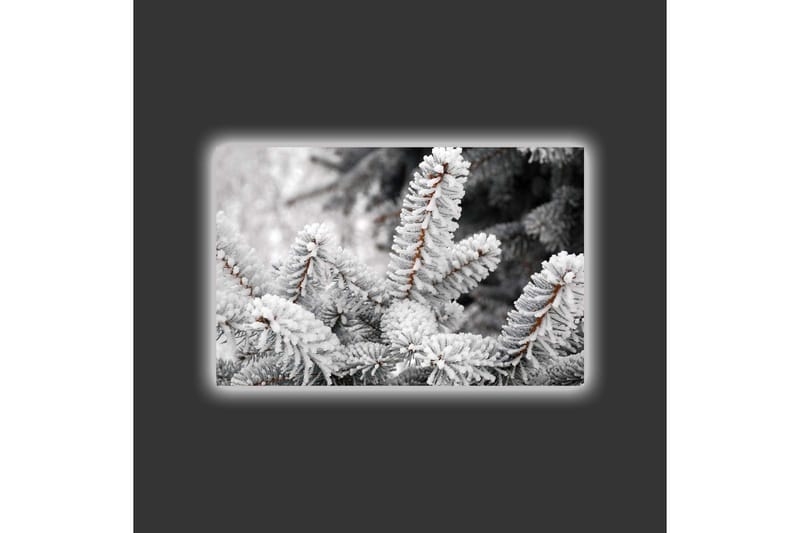 Canvastavla med LED-belysning - Frostiga granar i vinterlandskap - Vit / Grå / Brun - Inredning & dekor - Tavlor & konst - Canvastavla