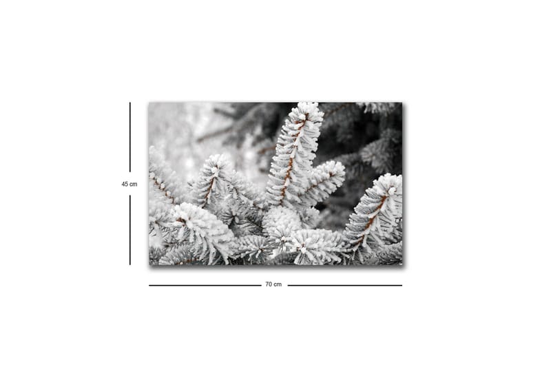 Canvastavla med LED-belysning - Frostiga granar i vinterlandskap - Vit / Grå / Brun - Inredning & dekor - Tavlor & konst - Canvastavla