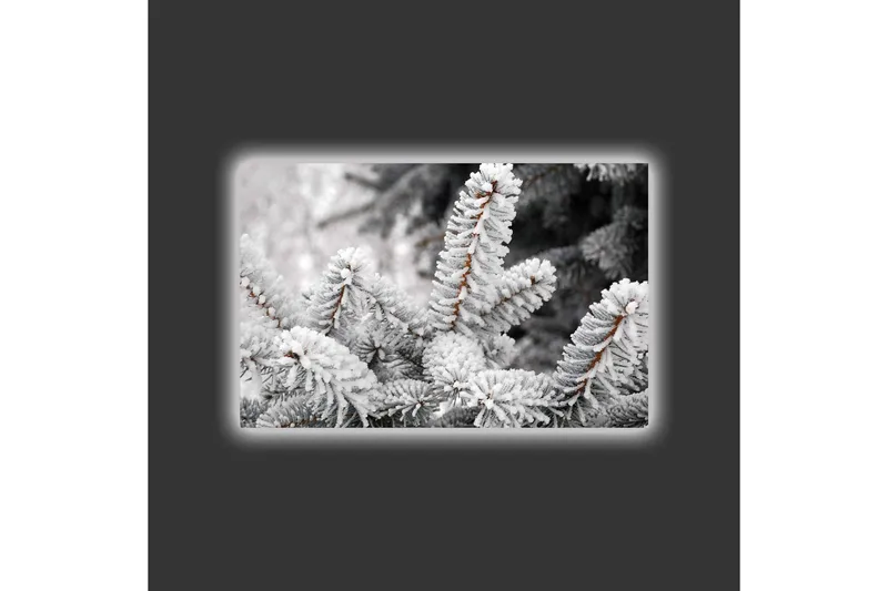 Canvastavla med LED-belysning - Frostiga granar i vinterlandskap - Vit / Grå / Brun - Inredning & dekor - Tavlor & konst - Canvastavla